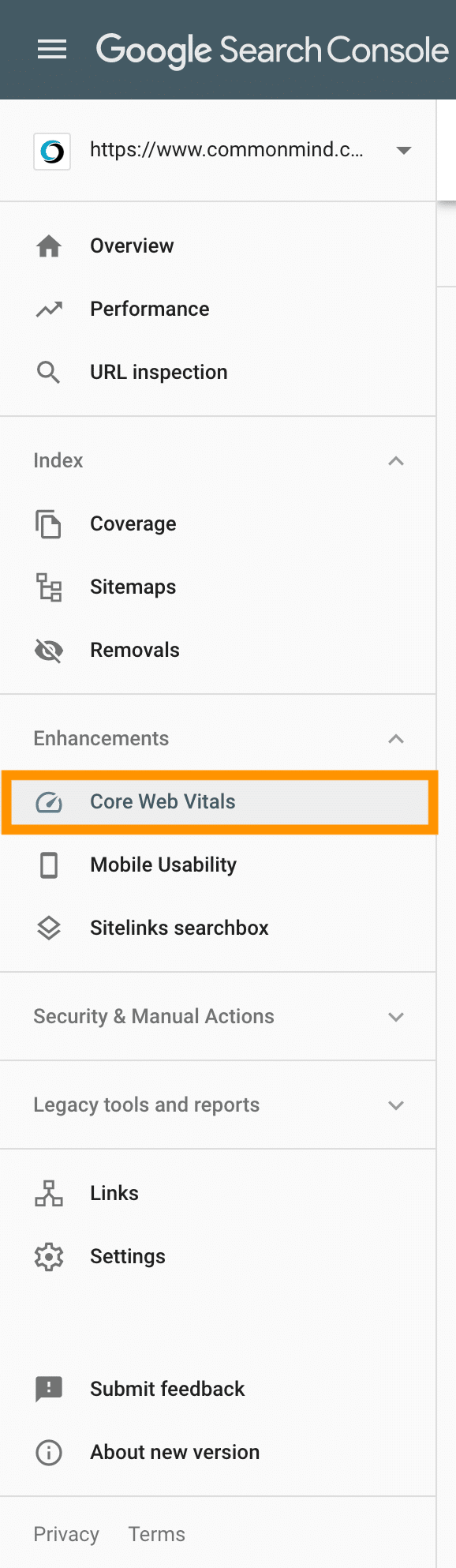 google_core_web_update_search_console_report